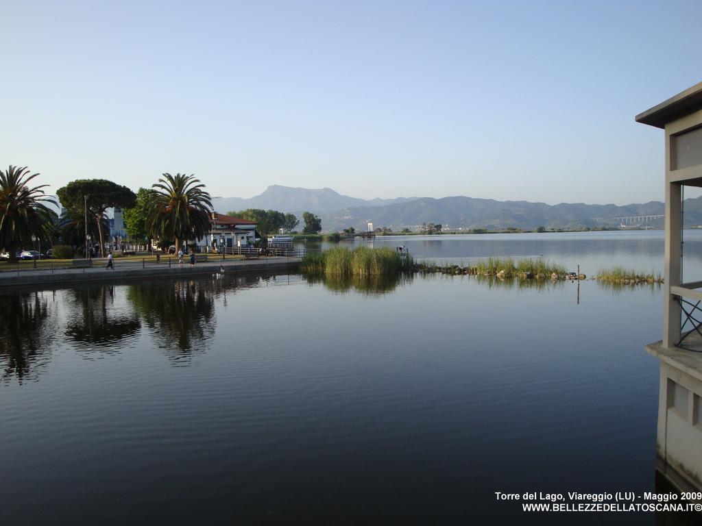 Vacanze A Viareggio Rum bild