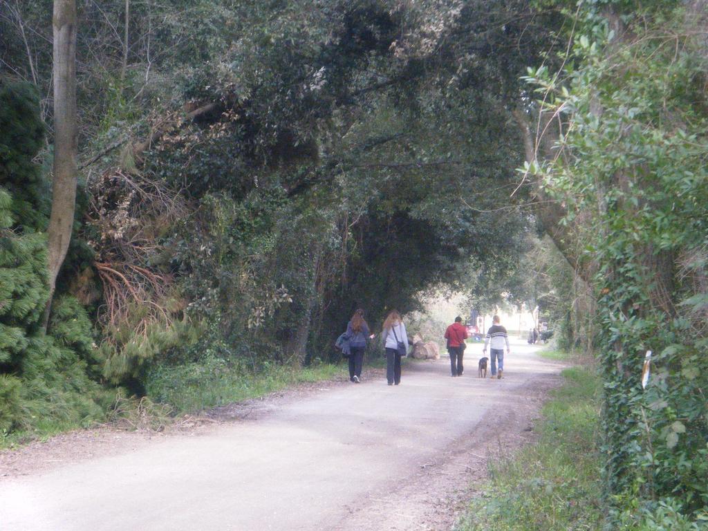 Vacanze A Viareggio Rum bild